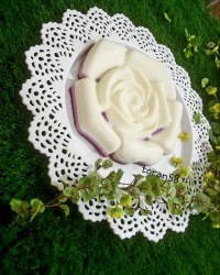 پاناکوتا وژله ی انگور