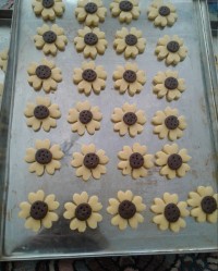 شیرینی های عید نوروز