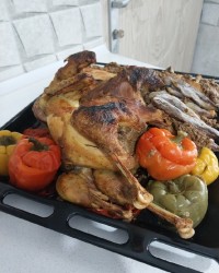 مرغ محلی شکم پر