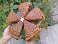 ❤ کیک زبرا ❤