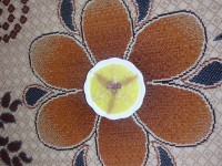 شله زردافطاری