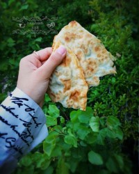 بولانی_گندنه_افغانستان?? ??hajehsan