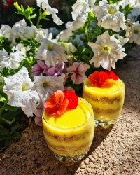 پان اسپانیا زعفرانی