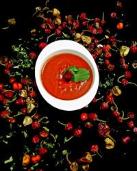 ســــس تند خــانگی ✓