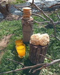 شیرینی کشمشی سیزده بدرمون