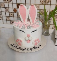 تولد دوسالگی دختر جانم