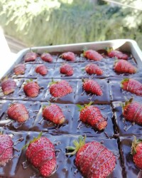 کیک چای شکلاتی