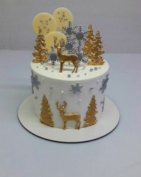 کیک دخترونه زمستونی