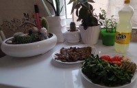 کوکو کنگر و آب هویج