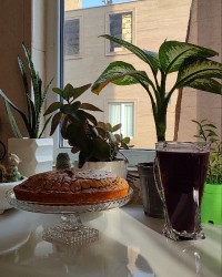 کیک گردویی و شربت انگور