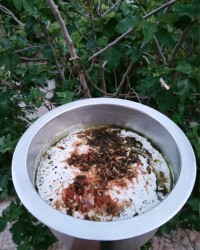 حلیم بادنجان سلام مهربونا