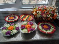 سالادای خوشگلم?