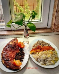 ماهی شکم پر شمالی کپشن رو بخونید لطفا