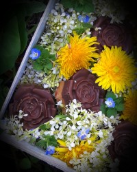 اسلایس برشتوک نخودچی