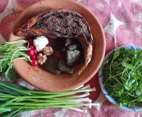 ماهی لَوَنگی آستارا