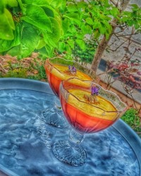 محلبی کاراملی