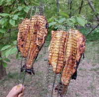 نهار روز عید فطر