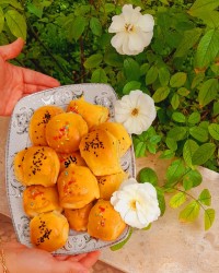 دانمارکی،بانوپز