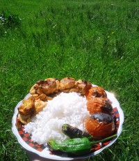 جوجه در دل طبیعت