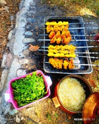 ناهار در طبیعت