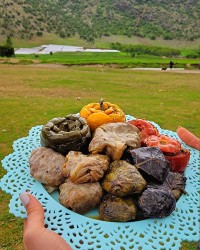 دلمه کلم
