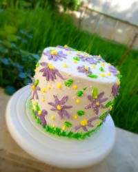 اسفنجی زرده ایی قنادی