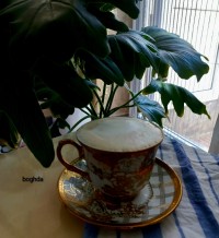 روزمرگی ها رمضان۱۴۰۲