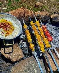 کباب فیله بوقلمون