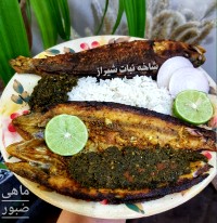 ماهی صُبور با حشو