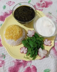 چالش فاطمه زمانی