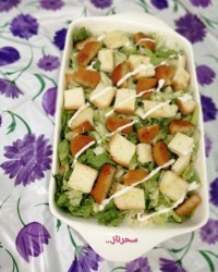 چالش فاطمه زمانی