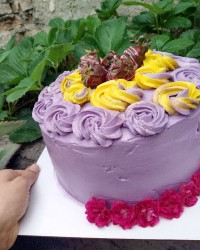 اولین تجربه کیک خامه