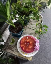 ژله بستنی ساده من