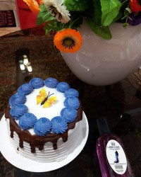 کیک اسفنجی عالی