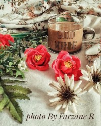 شیر قهوه عسل