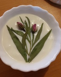 ماست خونگی مامان طاهره