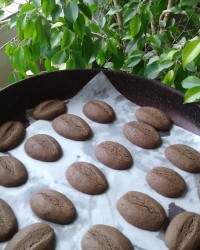 شیرینی دانه قهوه