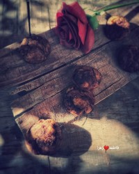 تلاش کن و به خدا بسپار.....