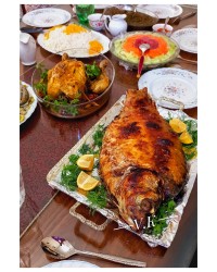 ماهی شکم پر شمالی