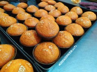 یزدی کارگاهی چالش حرف خوب و حال خوب