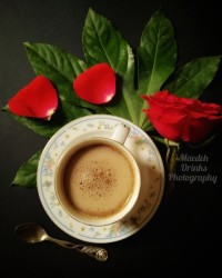 ورقی از خاطرات ۲