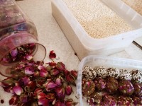 توپک انرژی زا
