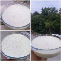 ماست چکیده موسیر ?