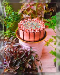 چالش_فاطمه_زمانی (ورق بزن گلی)