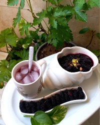 مربای شاتوت من جاتون خالی دوستان گلم