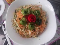 سالاد جوانه