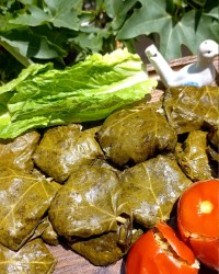 اینم دلمه ی مامان پز...)