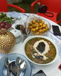 چالش عکس روز مرگی با خانم فاطمه زمانی عزیز