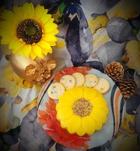 کرم کاسترد خونگی (دسر کاسترد)