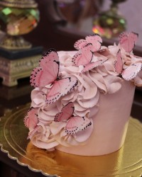 ولادت حضرت معصومه